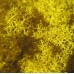 Жовтий ЛИМОННИЙ стабілізований мох ягель
