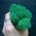 Зеленый ИЗУМРУДНЫЙ стабилизированный мох ягель